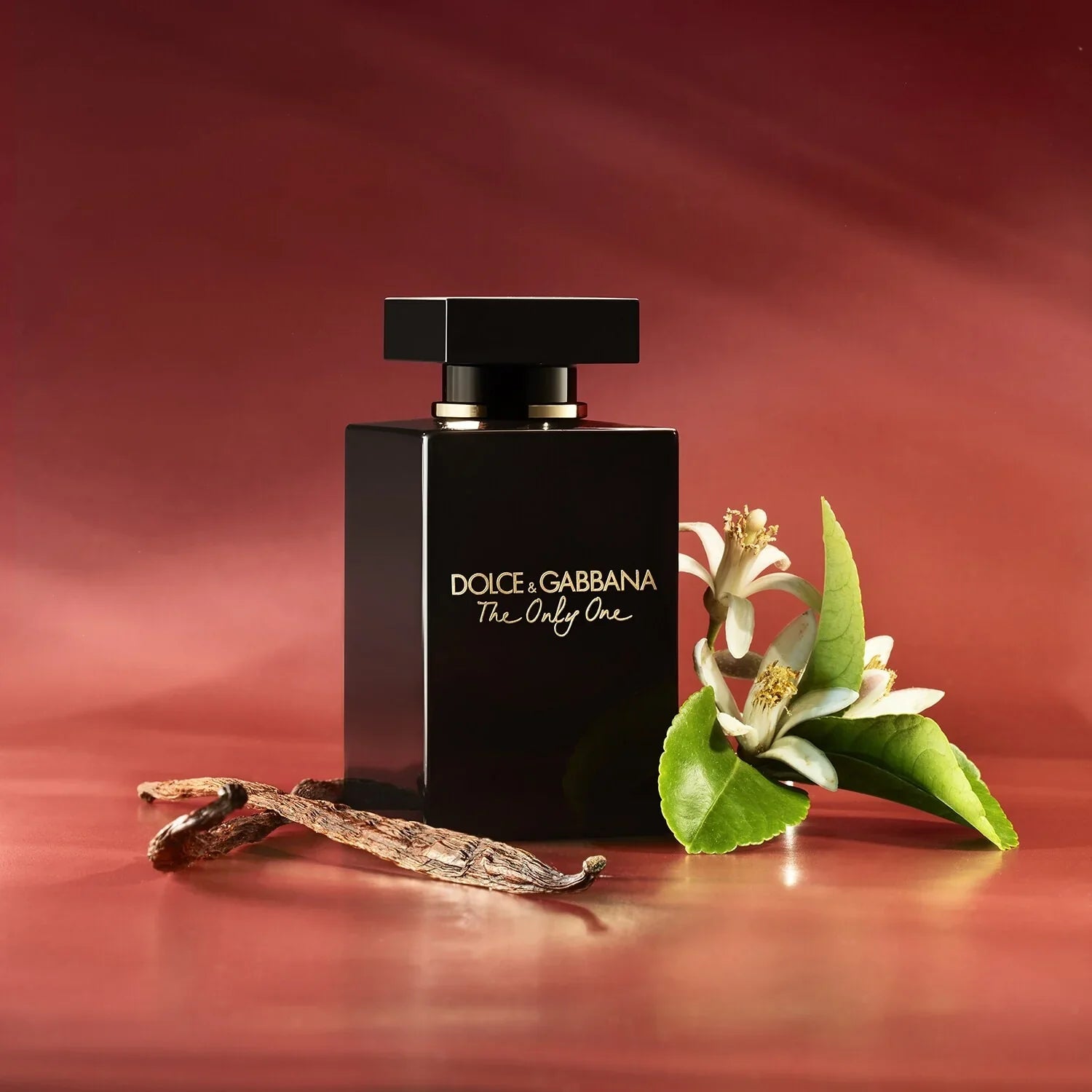 D0ice & Gabb@na the one Eua De parfum For Men - Luxeoscent.in