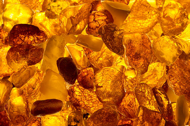Amber · Moss · Patchouli