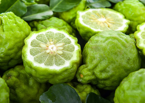  Bergamot