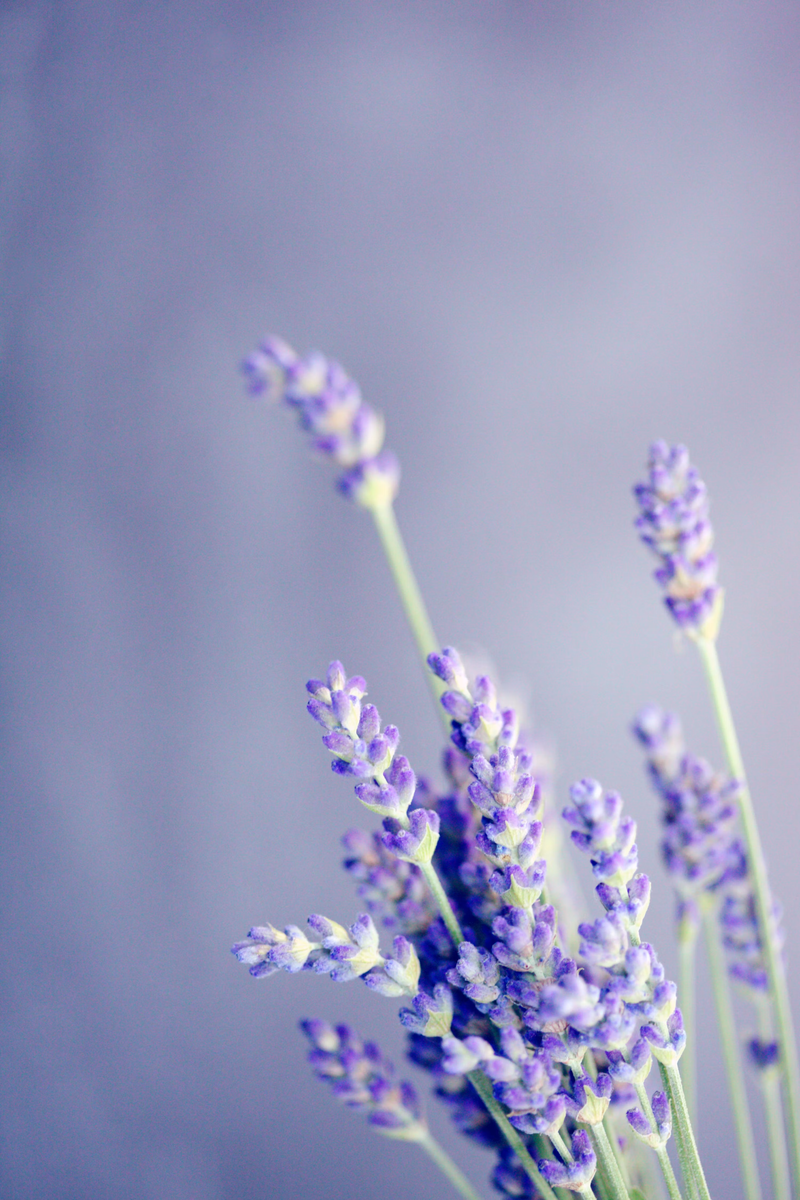 Lavender · Sichuan Pepper · Nutmeg