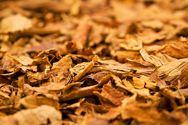 Tobacco Leaf · Spices