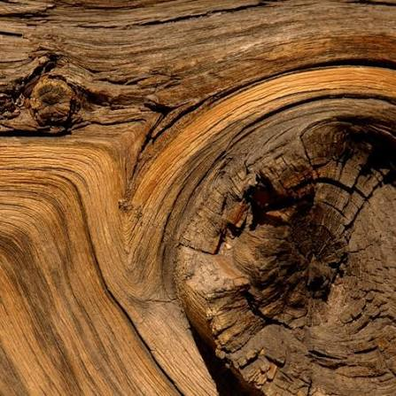 Dried Fruits · Wood 