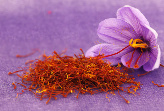 Raspberry · Saffron
