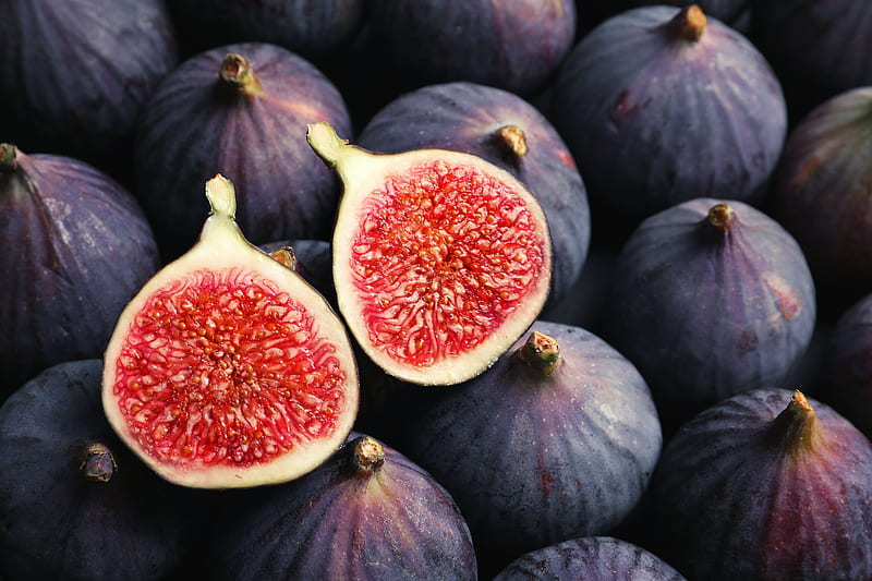 Musk · Fig