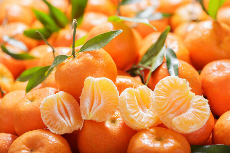 Bergamot · Mandarin Orange